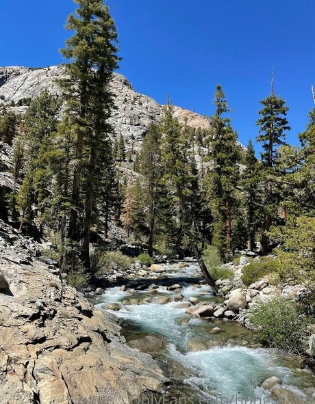 lächeln nur fans freie nackt fotos