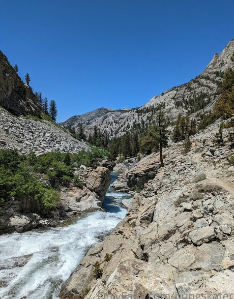 hungskater sexy perfekte bilder