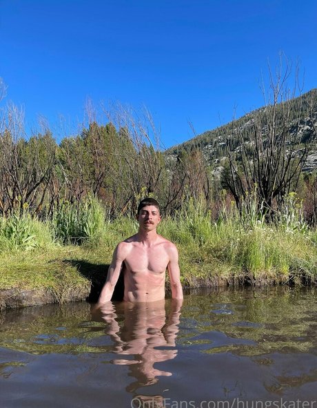 hungskater sexy kostenlose fotos