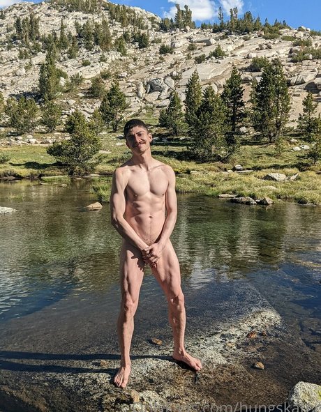 hungskater pornostar kostenlose bilder