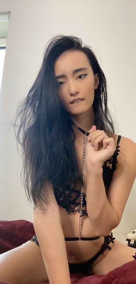 Tayszea perfekte schöne bild