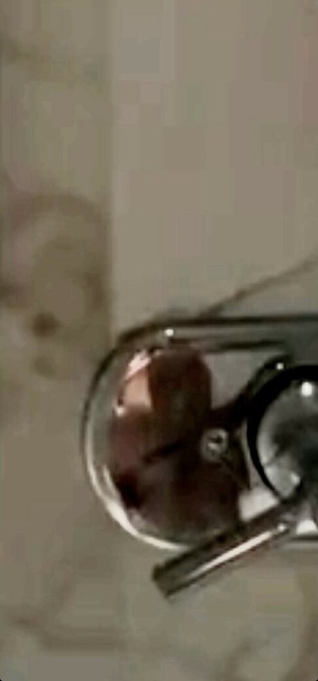 Annxhy heiße freie galerien