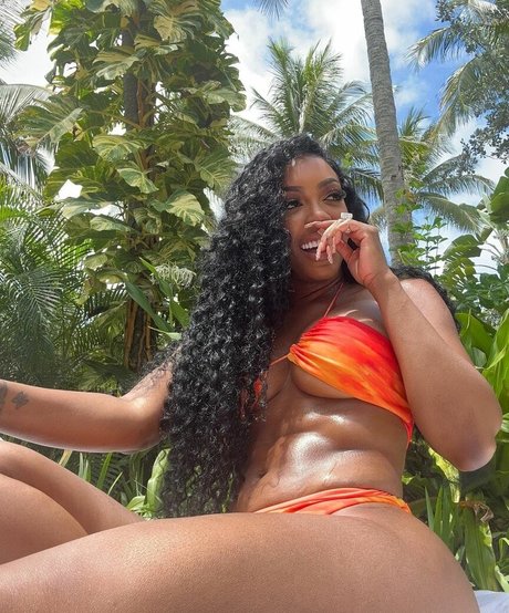 Porsha Williams model erotische galerie