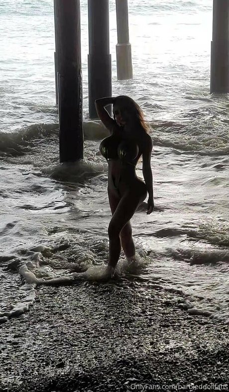 barbieddollfans kostenlose nacktheit galerie