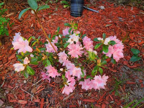 _Inactive_ xxx nackt galerie