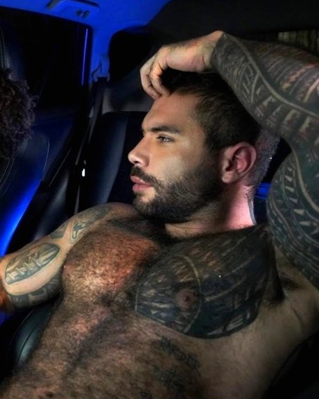 Oak perfekte schöne archiv