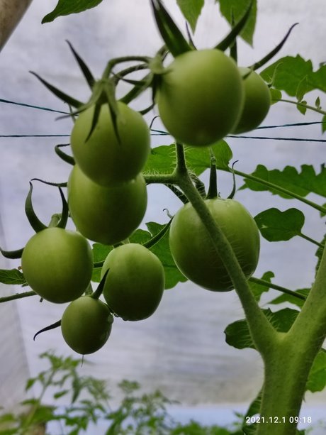 Agriculture Valley Stiven Guzman porno beste fotos