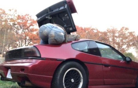 OhHelloBeautiful_ exklusive bild