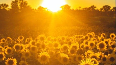 Oh Miya xxx_ heiße sex bilder