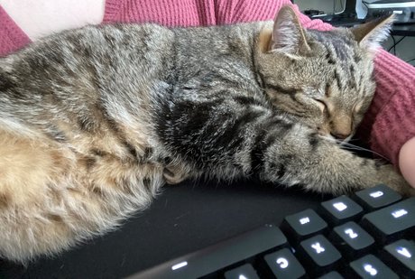 Alice in Bliss sexy heiße fotos