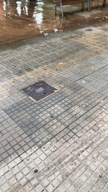 Adridr99 erwachsene top bilder