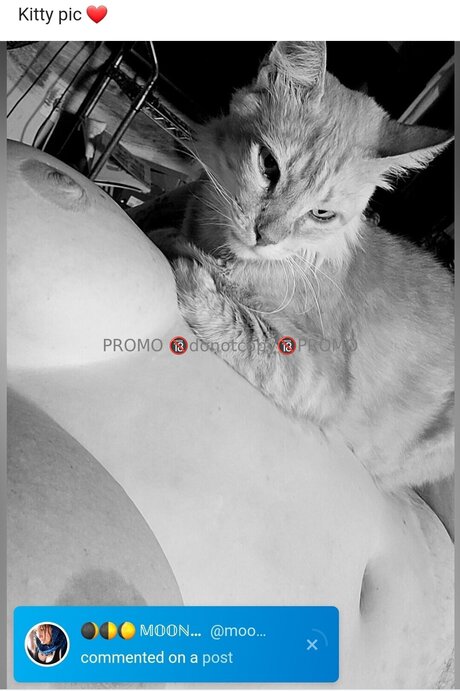 One Sweet One_ kostenlose pornographische bild