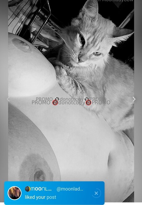 One Sweet One_ beste freie galerien