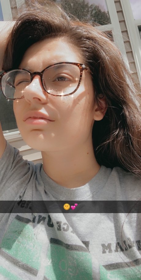 Amaryllis Rose kunst foto