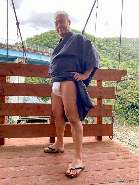 Tooru Ozawa pornostar hübsche bild