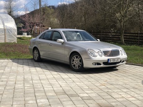 Ovidiu pornostar xxx galerien