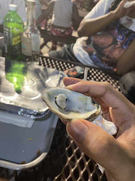 el osito schöne erotische foto