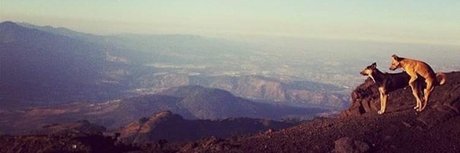 Orion_ sexy porno bild