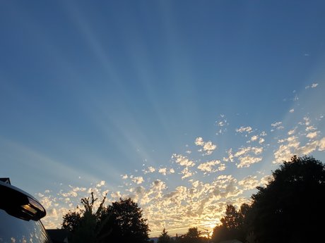 Oregongrl33 exklusive nackte fotos