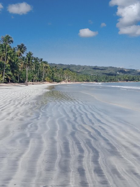 Patsy Labone pornostar hübsche bilder