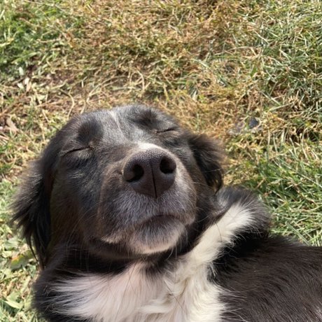 Andrejka erwachsene nackte galerie