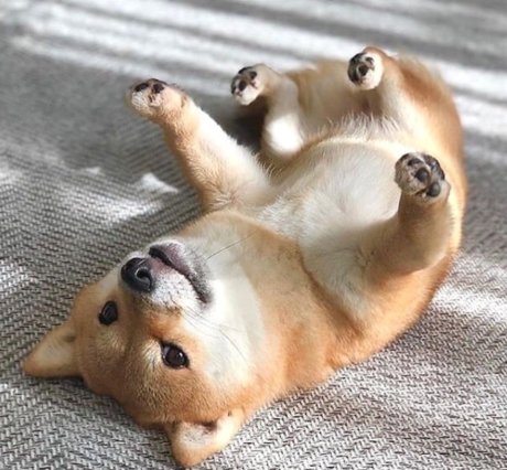 asherahsweetie_ porno nette bild