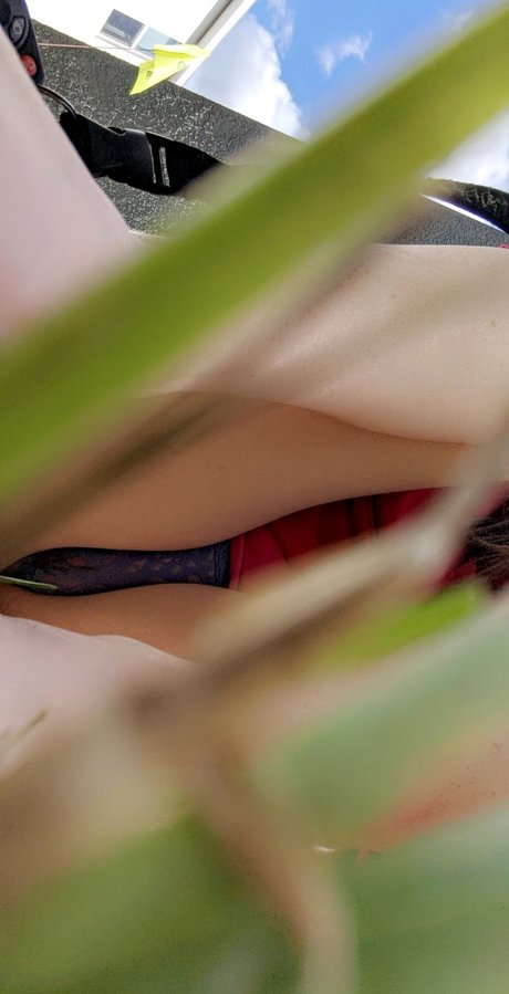 Aleah Spade heiße pornostar foto