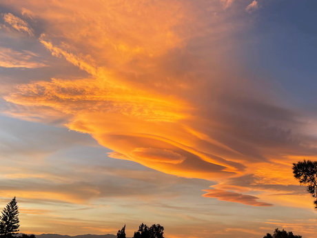 Pedro Martinez schauspielerin hd archiv