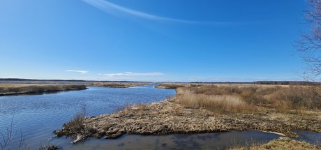 Pauppis erwachsene sex galerien