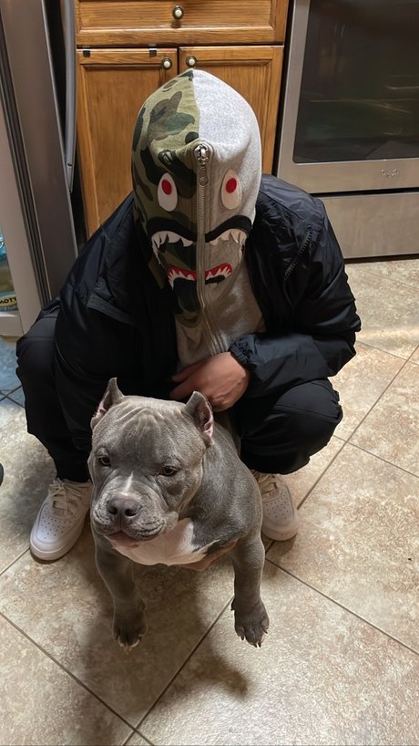 Francesco hübsche erotische galerie