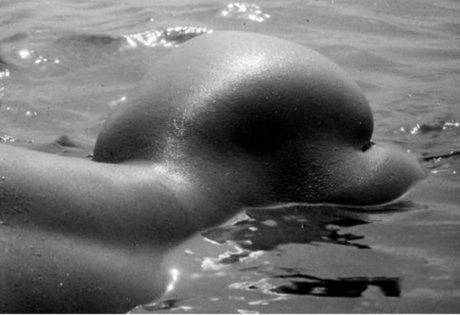 Carolina Chirinos schöne porno bild