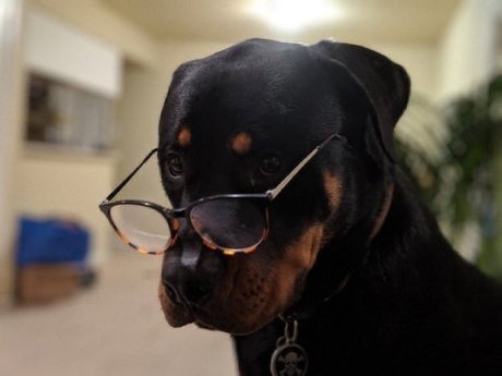 Daddy Sim_ erwachsene pornostar fotos