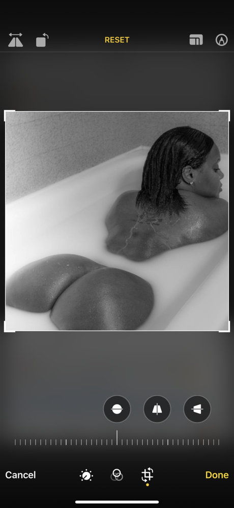 Phoenix Rosez hd kunst bilder