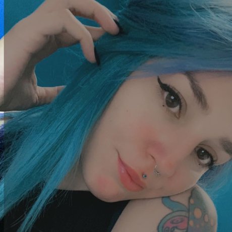 Petricorsg hd schöne foto