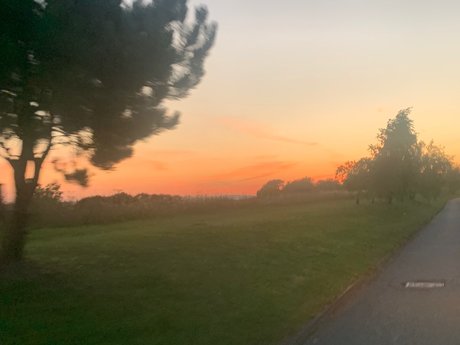 18 years old_ hübsche akt archiv