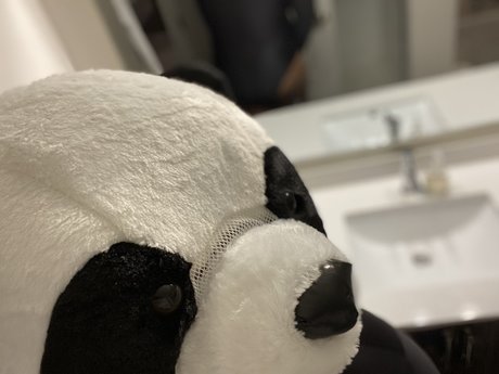 PlayBear schöne nackt galerie