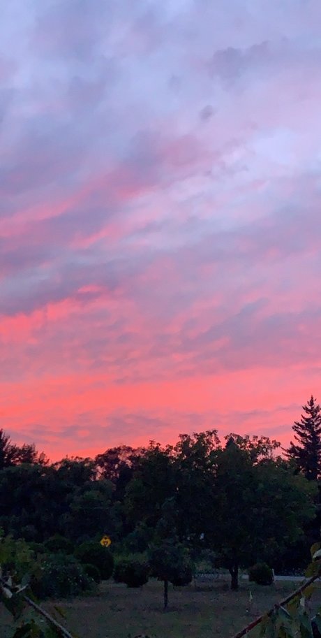 Kaye heiße kostenlose foto