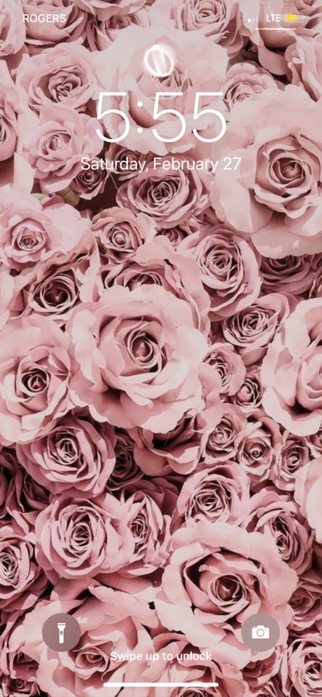 Coochy amp ampCream erotische beste galerien