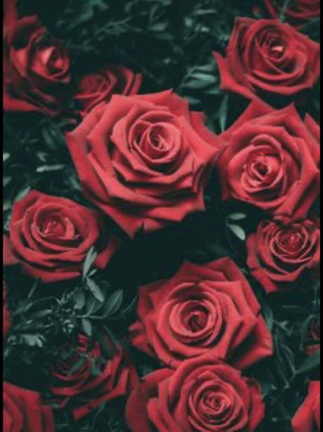 Monae Leigh perfekte fotos