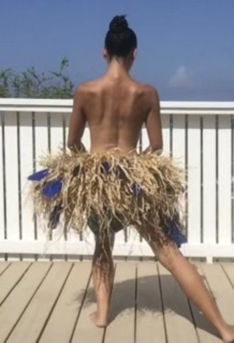 PrettyRedHibiscus perfekte fotos