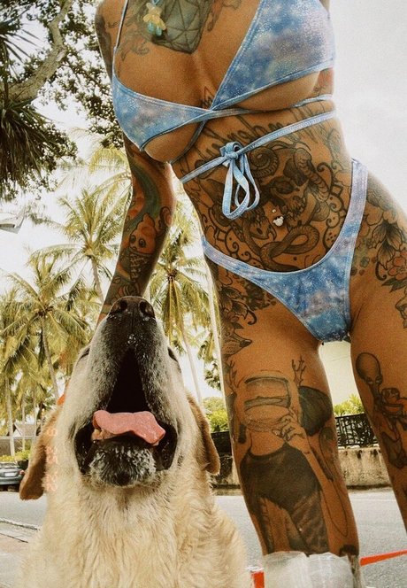 Bantikboy hd freie galerie