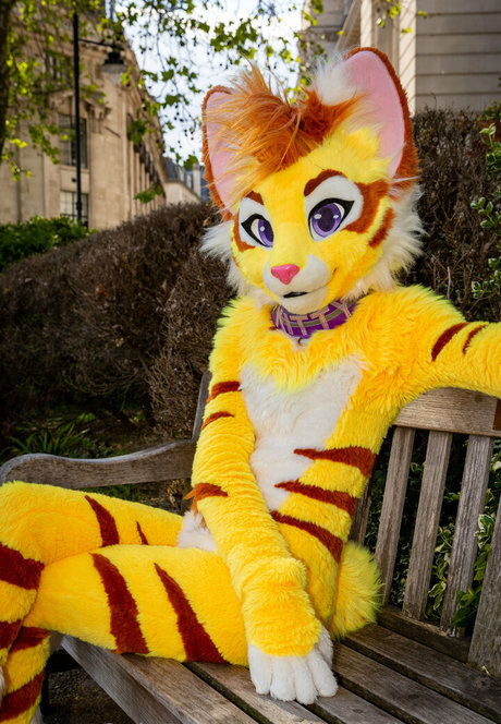 anal-gangbang onlyfans heiße top foto