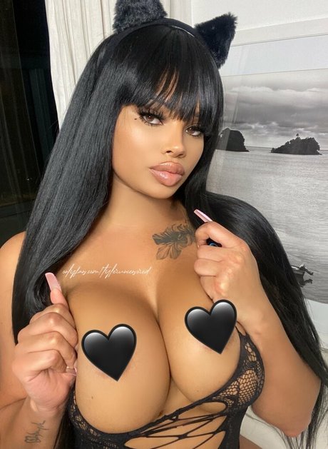 tylerwisby heiße pornostar galerien