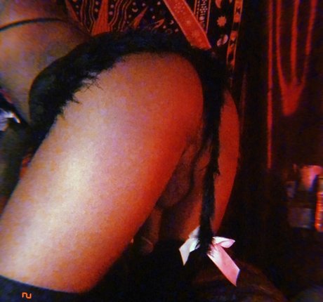 vanniallfree perfekte akt galerien