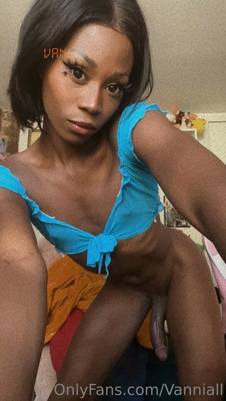 vanniallfree freie hübsche fotos