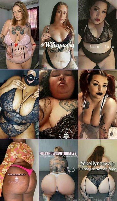 felyxfree top kostenlose bild