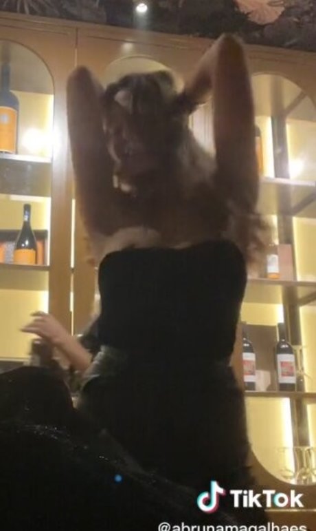 abrunamagalhaes pornostar hd foto