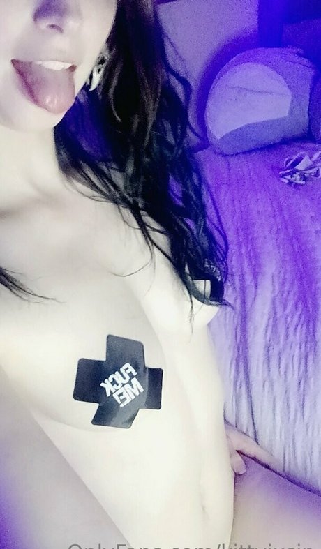 kittvixsin freie schöne foto