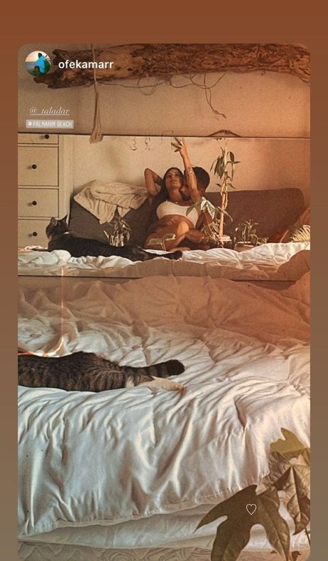 Tal Adar freie bilder