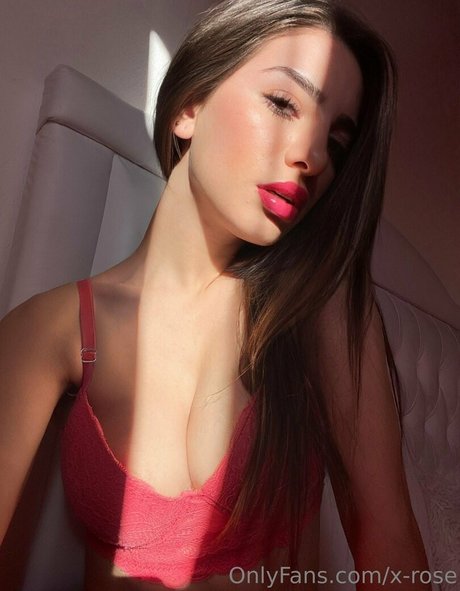 x rose beste perfekte foto